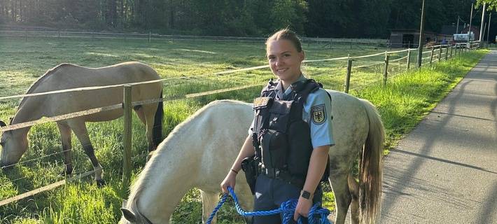 COESFELD: Wildwest am Brink