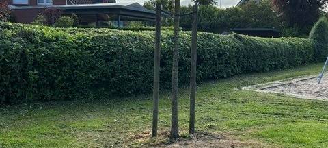 ASCHEBERG: Bäume mit Gift besprüht