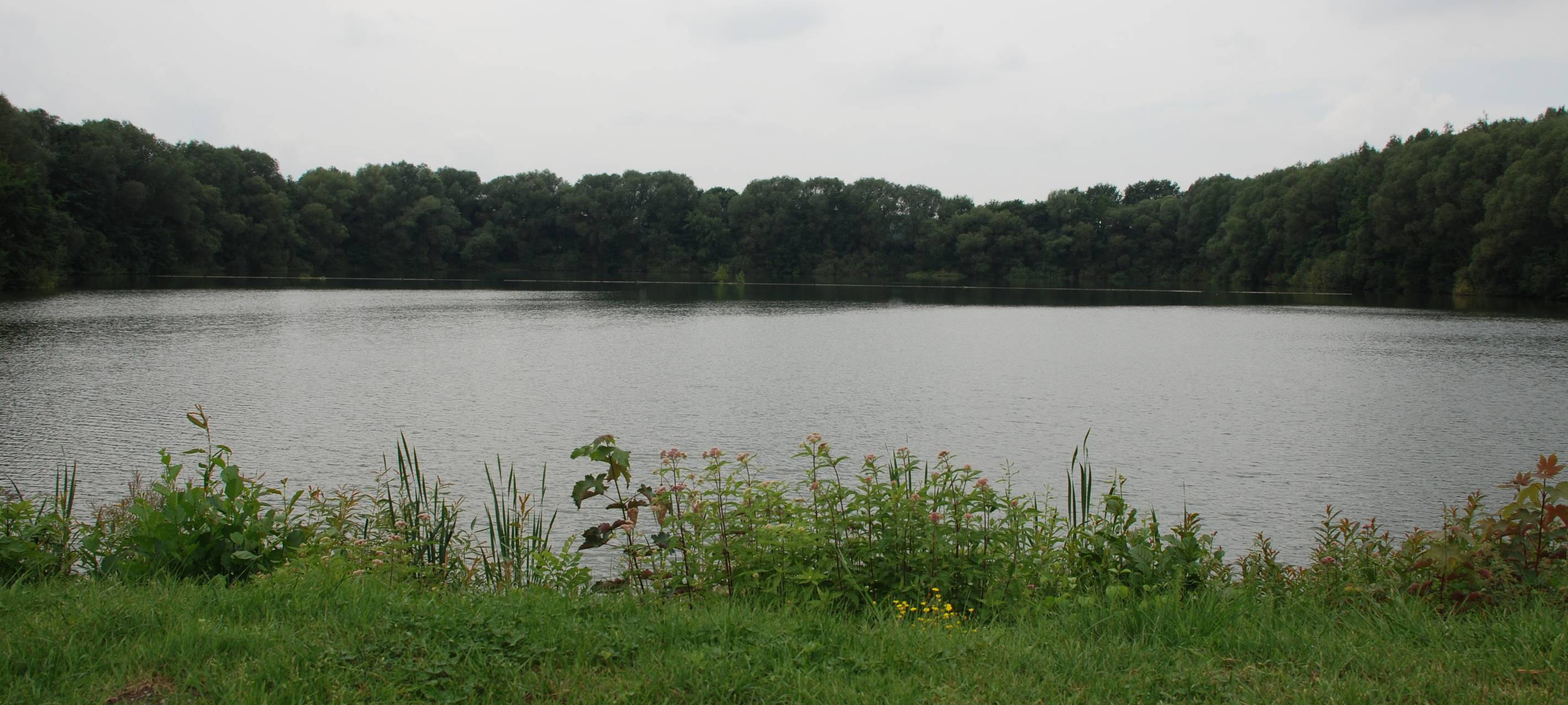 BULDERN: Keine Blutalge im See