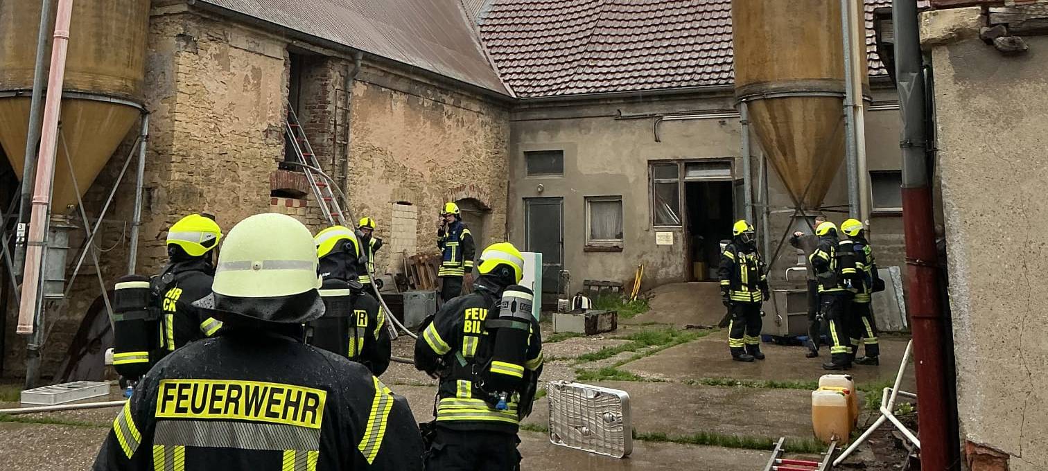 BILLERBECK: Blitzeinschlag in Schweinestall