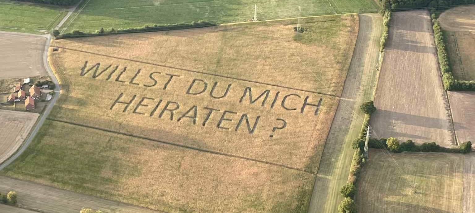 Heiratsantrag im Maisfeld