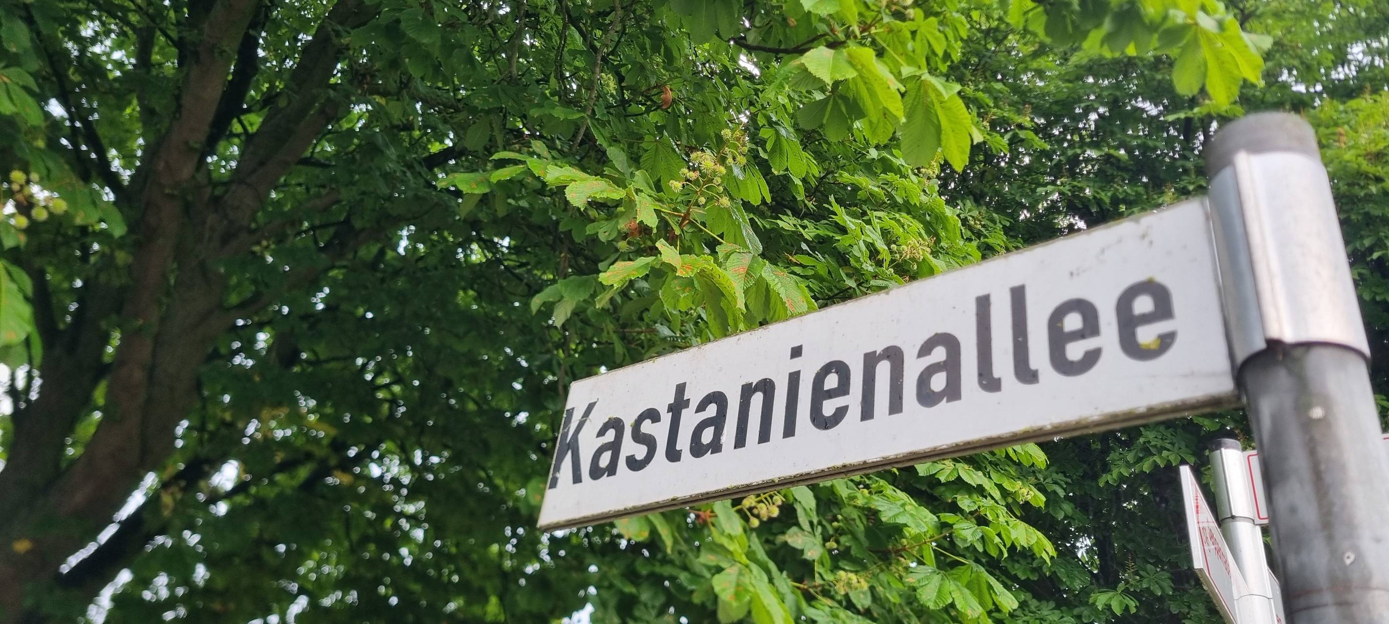 SEPPENRADE: Ausbau Kastanienallee