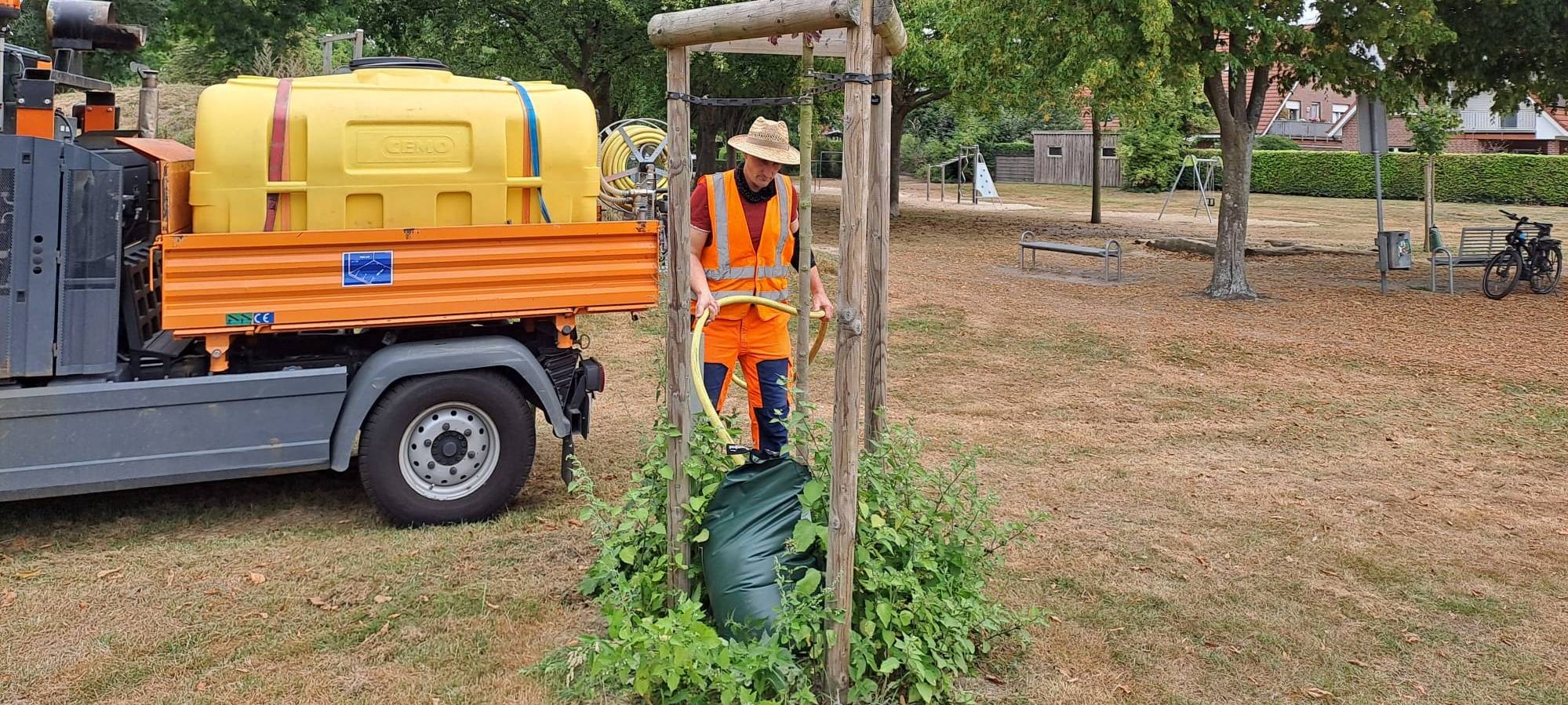 ASCHEBERG: Bäume brauchen Wasser