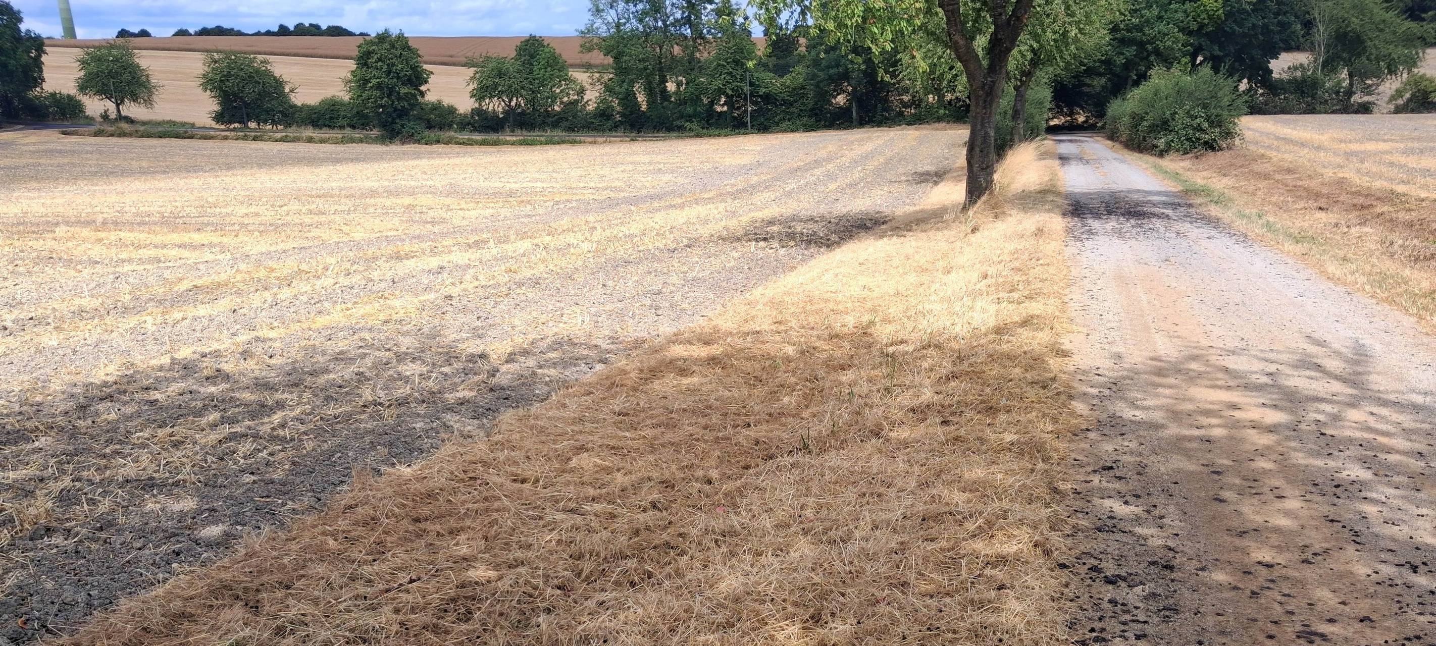 COESFELD: Hände weg von den Wegrändern