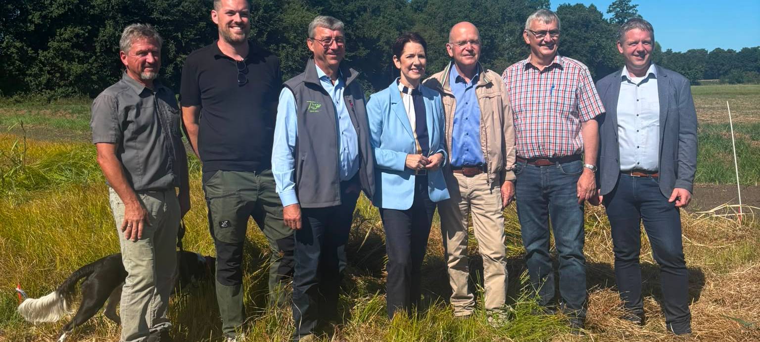 WELTE: Im Kampf gegen Erdmandelgras