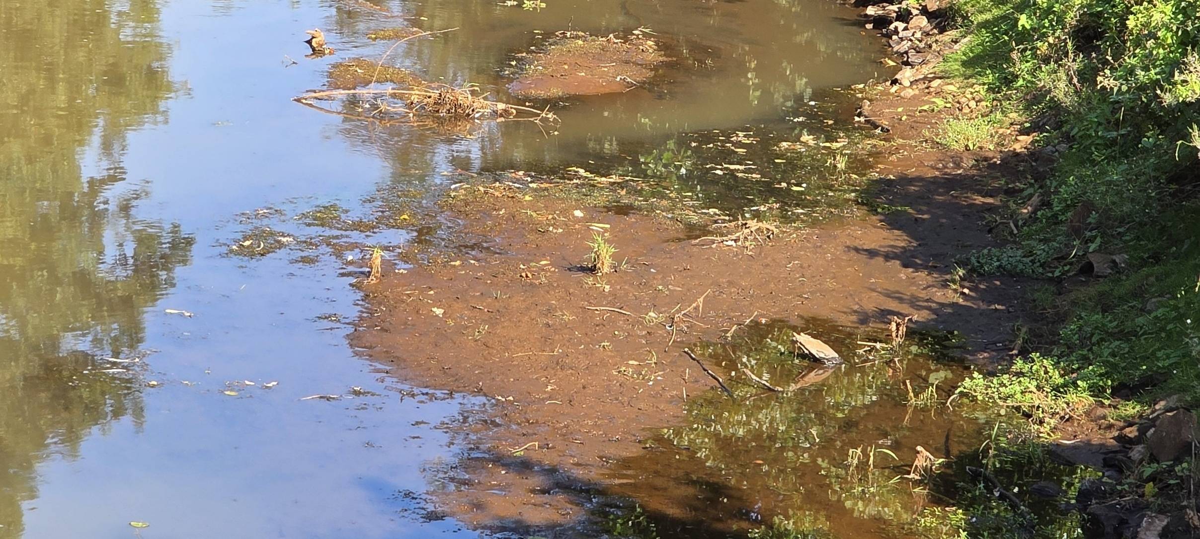 KREIS: Wenig Wasser in Flüssen