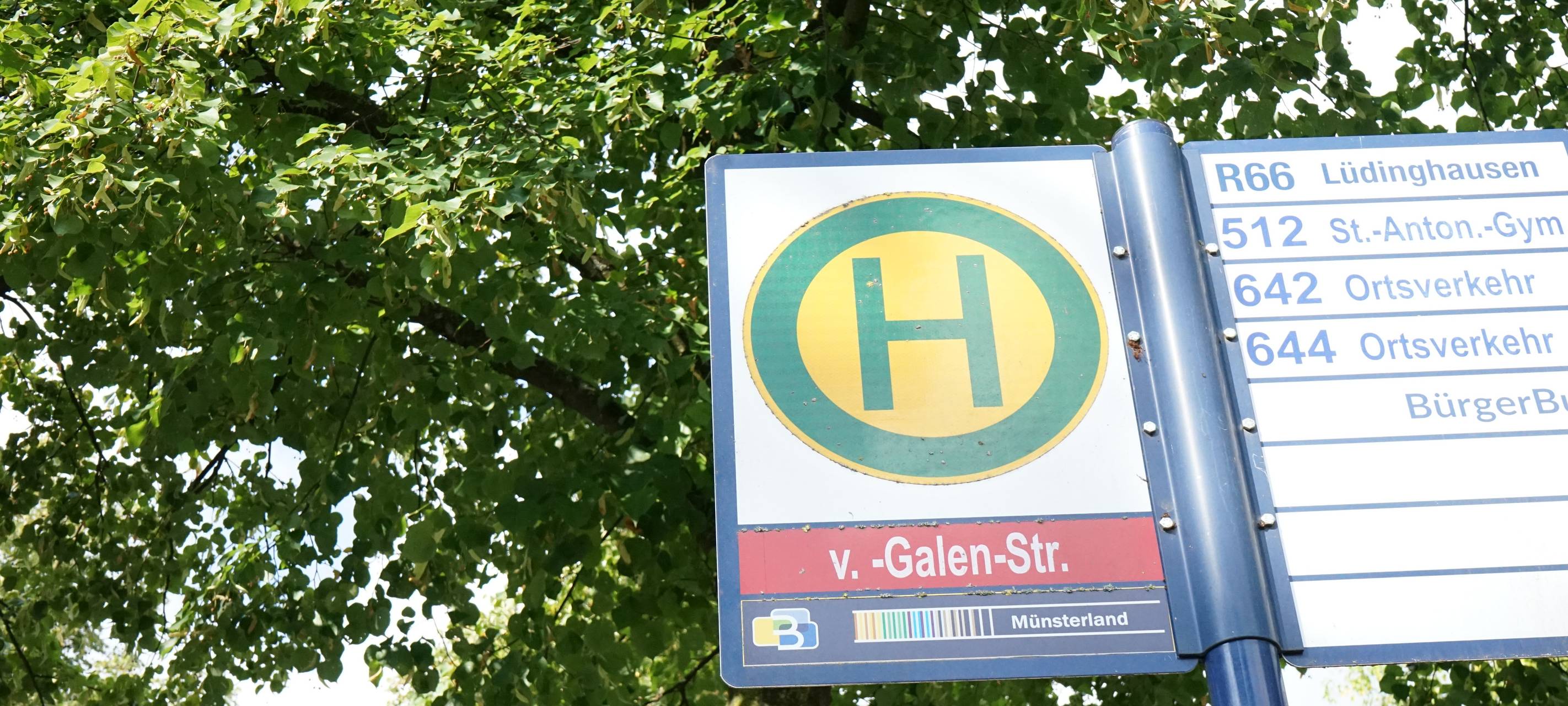 LÜDINGHAUSEN: Bus-Haltestellen-Umbau geht weiter