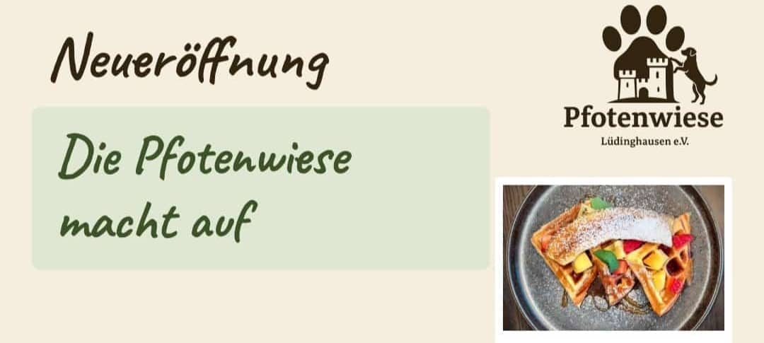 LH: Hundewiese eröffnet