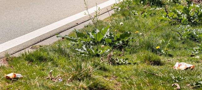 DAVENSBERG: Müllsammeln am World Cleanup Day