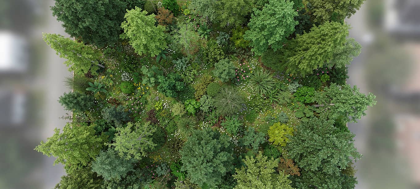 COE: Knappe Mehrheit für Tiny Forest