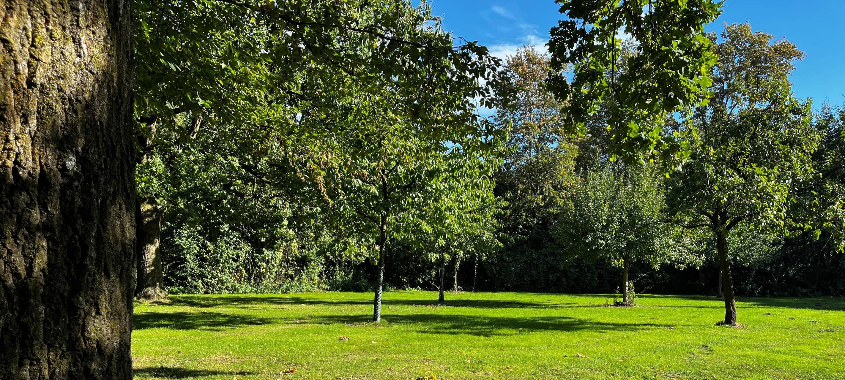 SÜDKIRCHEN: Hundewiese