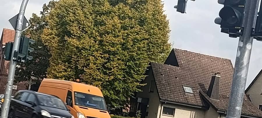 LH: Ärger um ungepflegten Baum