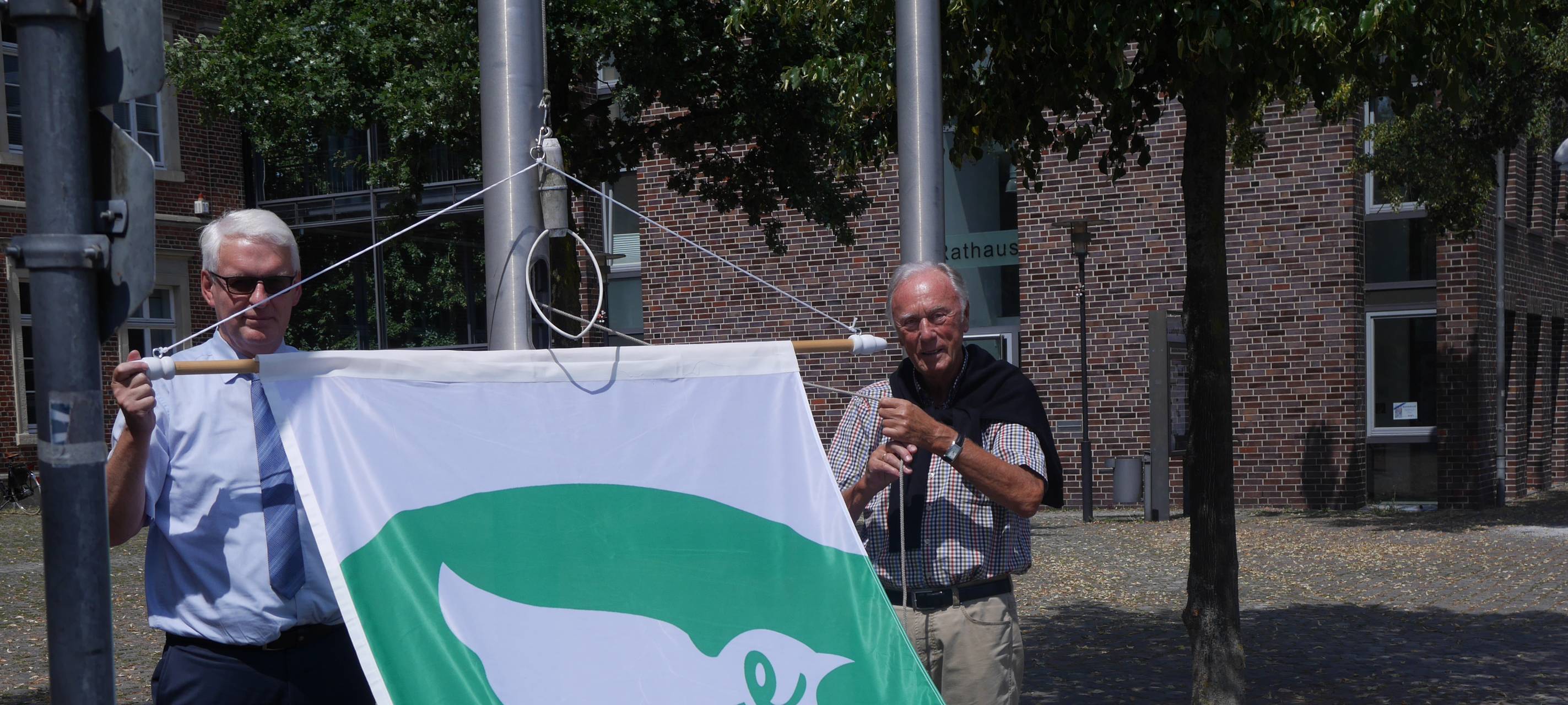 Flaggen für den Weltfrieden