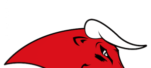 Coesfeld Bulls suchen Verstärkung