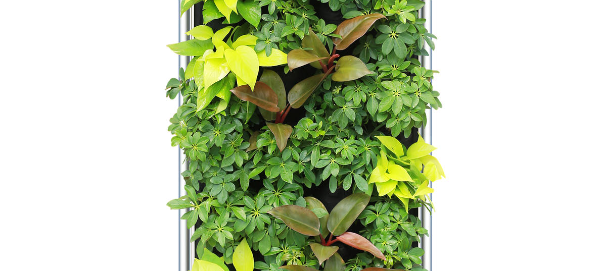 DÜLMEN: Firma für Luftfiltergeräte gefunden