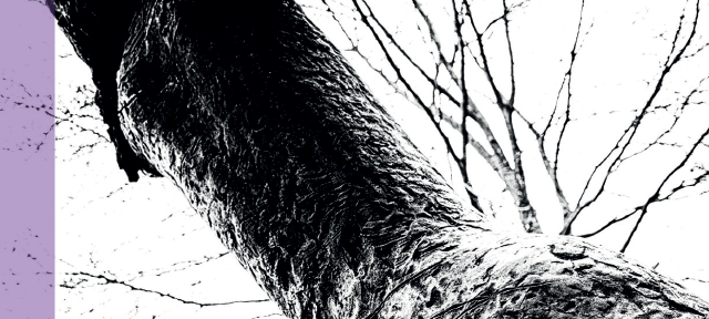 Das vergessene Mädchen