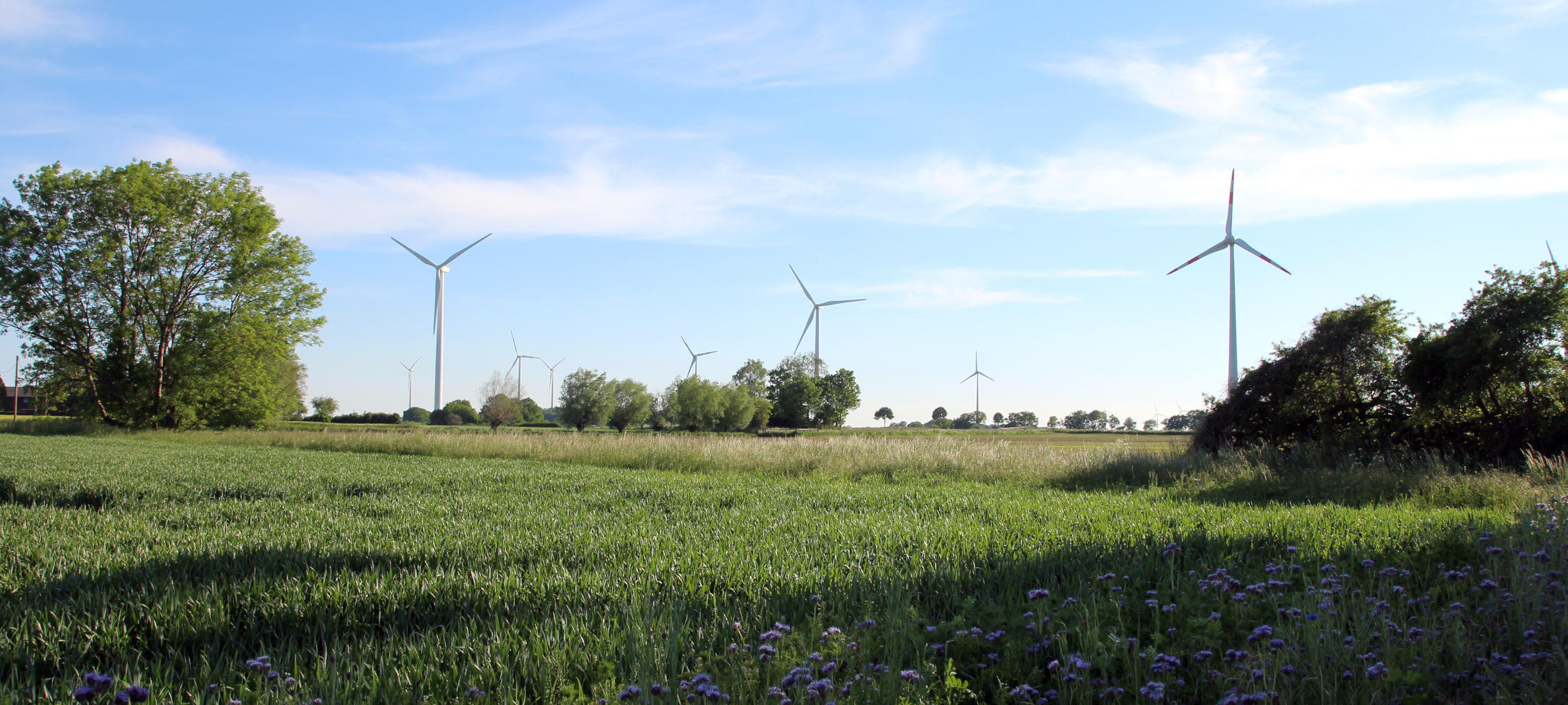 DÜLMEN: Mehr Windkraft für grüne Energie