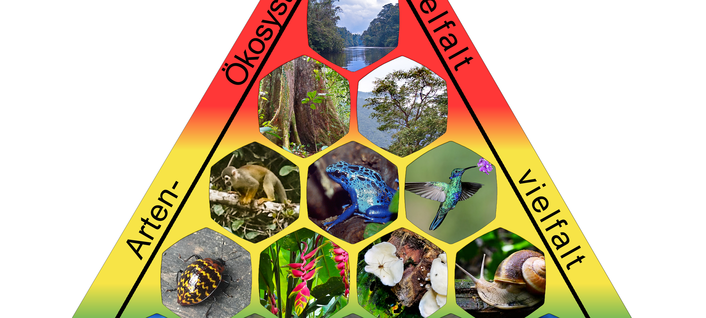 Biodiversität für Unternehmen