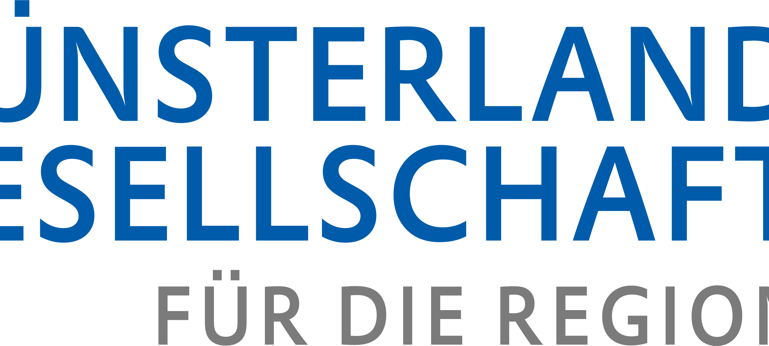 KREIS: MNG mit positivem 1. Geschäftsjahr