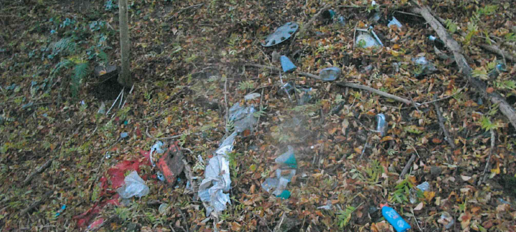 NOTTULN: Wilde Müllkippe noch zu sehen