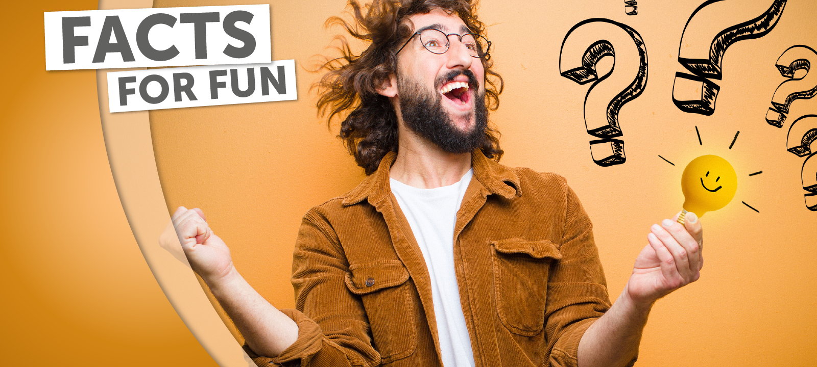 Facts for Fun: "Extrem Bügeln"