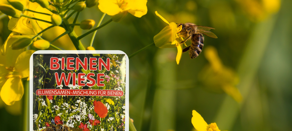Für mehr Summ-Summ