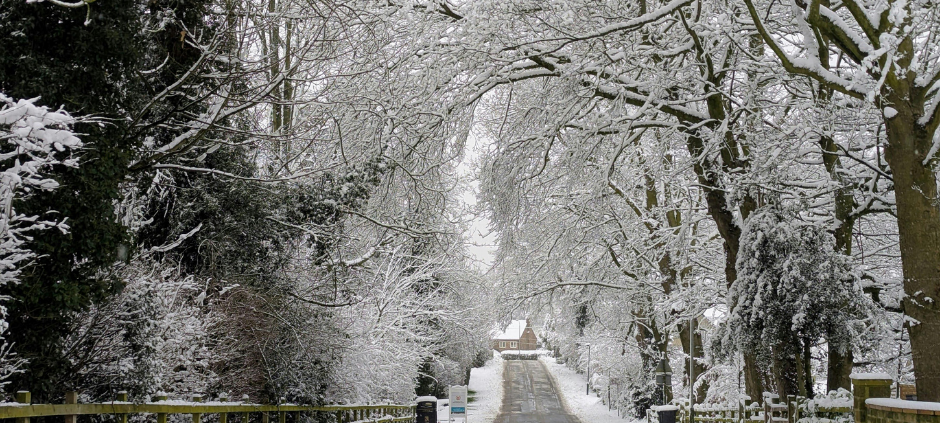 Die schönsten Winter-Fotos