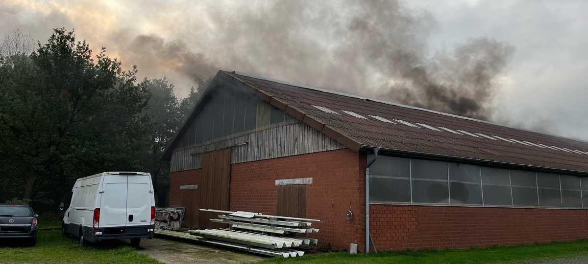 OLFEN: Feuer in Halle