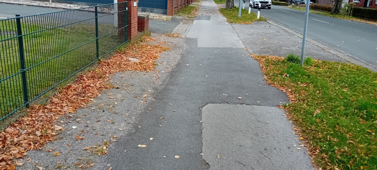 COESFELD: Radwegausbau Osterwicker Straße startet