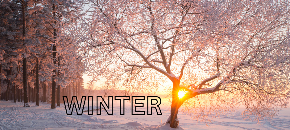 Winterfotos aus dem Münsterland