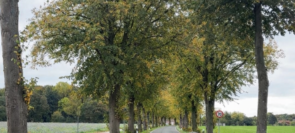 BÖSENSELL: Vorarbeiten für Bückenerneuerung