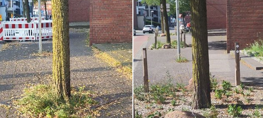 COESFELD: Flächen entsiegelt