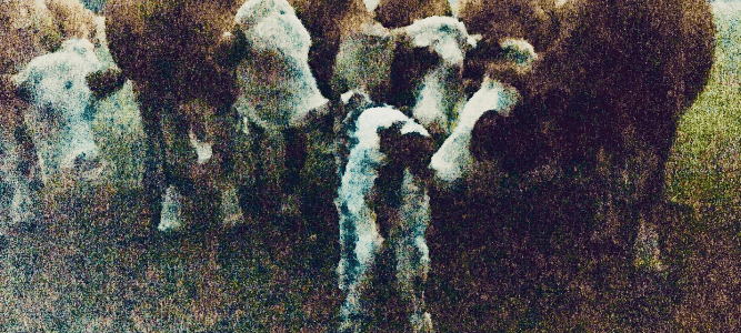 Polizisten retten frisch geborenes Kalb