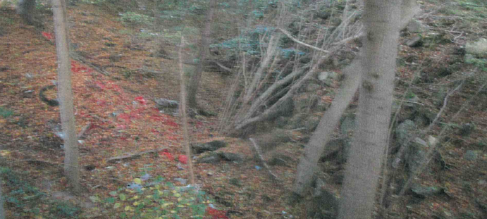 NOTTULN: Wilde Müllkippe im Wald